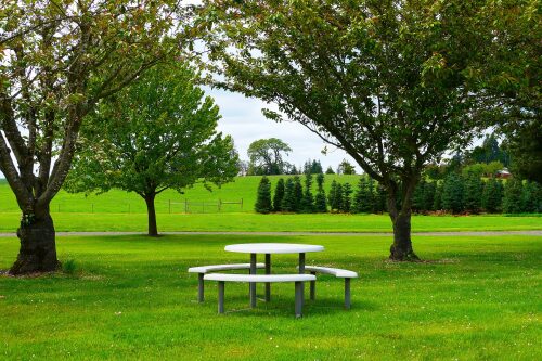 Picnic table at Silver Falls Vineyards