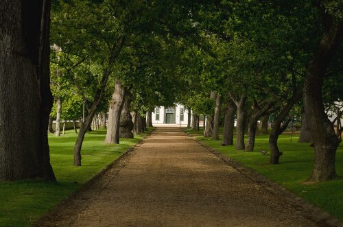 Groot Constantia Approach