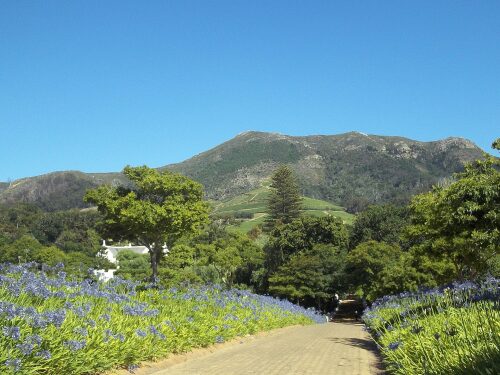Klein Constantia Entrance