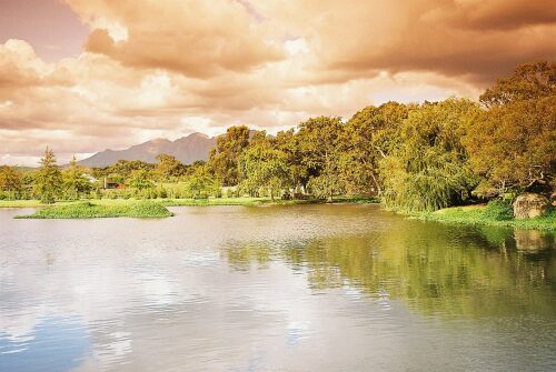 The lake at the Spier Wine Estate Stellenbosch