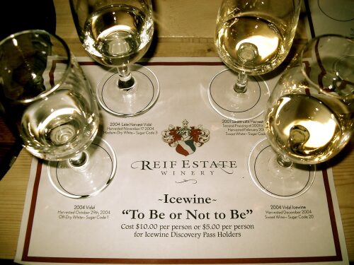 Reif Estates ice wine tasting