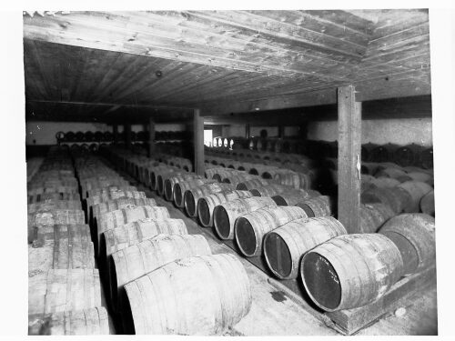 Wine Cellar Showing Barrels